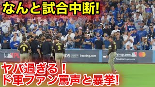 なんと突然！試合中断！ド軍ファンがヤバ過ぎる罵声と暴挙！現地映像 [upl. by Lyreb609]