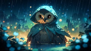 Lofi for Owls Only 🦉 [upl. by Wind156]