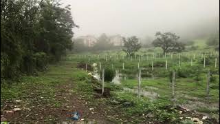 Located in Tungarli Lonavala 1 Acre plot of Land for Sale Touching the Waterfall [upl. by Aikrehs]