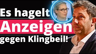 Alice Weidel Konsequenzen für SPD Chef [upl. by Anelaj]