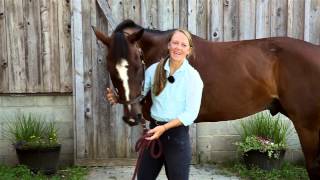 Horses rearingbolting when being put to carriage  after training [upl. by Stichter]