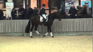 FORMEL EINS Franziskus x Cornet Fever amp Johanna Klippert [upl. by Nireil]