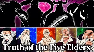 All The Five Elders Revealed  One Piece analysis with a Japanese Translator [upl. by Tailor]