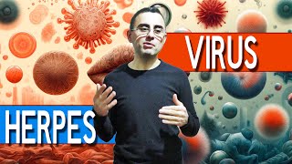 Herpes Explained 8 different DISEASES caused by HERPES [upl. by Alolomo]