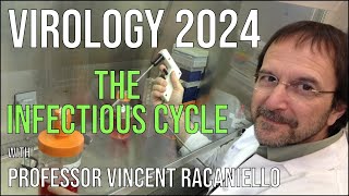 Virology Lectures 2024 2 The Infectious Cycle [upl. by Uzziel]