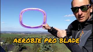 AEROBIE PRO BLADE 🥏 optical check and a happy return like a Boomerang 🪃 aerobie [upl. by Ris]