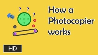 How photocopiers work [upl. by Hoon]