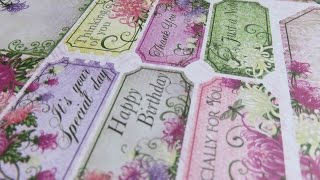 Heartfelt Creations Enchanted Mums Close up [upl. by Brigette481]