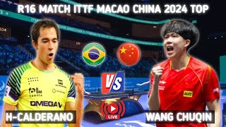 Wang Chuqin vs Hugo Calderano R16 ITTF Macao 2024 [upl. by Adnylg440]