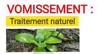 VOMISSEMENT  Traitement naturel efficace et moins coûteux [upl. by Hazlett]