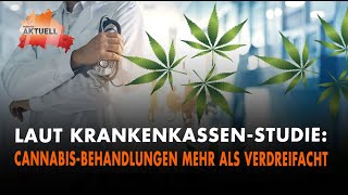 Laut KrankenkassenStudie Cannabis Behandlungen mehr als verdreifacht [upl. by Ennirroc995]