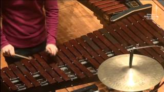 PERCUSSION 101 Xylophone [upl. by Nod]