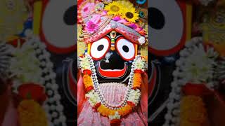 Keri keri suna duba⭕❗⭕jayjaganatha love lovemusic jayjaganath song lovemusic lovesong odia 🙏 [upl. by Brockie]