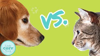 Dogs vs Cats  Which is Better [upl. by Tisha308]