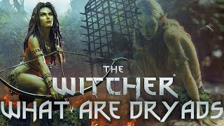 What Are Dryads  Witcher Lore  Witcher Mythology  Witcher 3 lore  Witcher Races Lore [upl. by Eolanda]