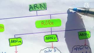 résumé génétique partie n°1 [upl. by Enived]