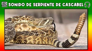 SONIDO DE SERPIENTE CASCABEL 🐍 [upl. by Ayahc]