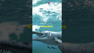 Kronosaurus The Ancient Sea Monster kronosaurus dinosaur prehistoric paleontology [upl. by Festa]