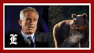 Robert F Kennedy Jr says he left a dead bear in Central Park as a prank [upl. by Trixy]