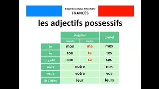 🇫🇷 Les adjectifs possessifs  🇪🇸 Los adjetivos posesivos [upl. by Audry670]