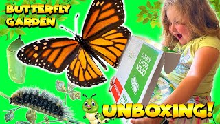 CATERPILLARS TURNED INTO BUTTERFLIES UNBOXING MY NEW BUTTERFLY GARDEN [upl. by Marissa]