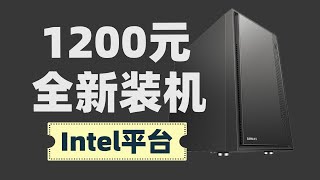 1000元全新电脑装机配置  INTEL平台  Celeron G6900 amp Xe DG1 [upl. by Nnyleimaj]