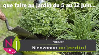 QUE FAUTIL FAIRE DANS LE JARDIN DU 5 AU 12 JUIN  LES BONS CONSEILS PRATIQUES DE PATRICK ET ROLAND [upl. by Ytineres]