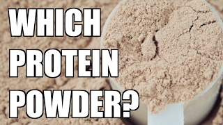 Which Type of PROTEIN POWDER Should I Take [upl. by Asylem]