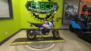 Used 2023 Honda GROM 125 Motorcycle For Sale In Port Richey FL [upl. by Mas]