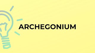 What is the meaning of the word ARCHEGONIUM [upl. by Lleda]