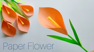 Easy Paper Flower  Paper Tulip Flower  Paper Craft [upl. by Kcirde]