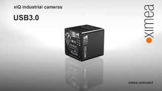 Smallest USB3 Vision cameras by XIMEA  xiQ line [upl. by Brozak]