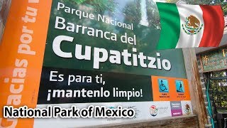 URUAPAN MEXICO 2018  Parque Nacional quotBarranca del Cupatitzioquot  Michoacán [upl. by Bal]