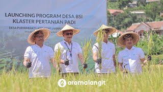 Cerita Kami dalam Launching Desa BSI Klaster Pertanian Padi Bersama BSI Maslahat [upl. by Hairahcaz]