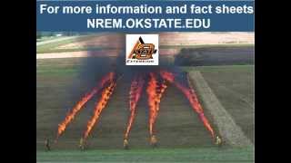 SFE Webinar Burning Outside the Box in the Midwest [upl. by Gnoy]