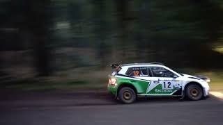 Woodpecker Rally 2023  SS 8  Haye Park R5s [upl. by Durrej622]