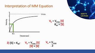 MichaelisMenten Equation Derivation and Interpretation [upl. by Corrie334]