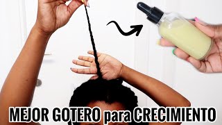 GOTERO de JENGIBRE para el CRECIMIENTO rápido del CABELLO  Rihanel [upl. by Arnoldo]