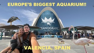 Oceanographic Valencia  The largest aquarium in Europe  Valencia Spain Oceanographic 2022 [upl. by Akoyin]