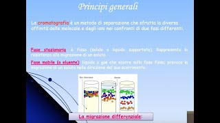 Cromatografia Lezione 14  Principi generali classificazione e meccanismi chimico fisici [upl. by Wil]