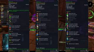 Guide optimisation chasseur BM Talents stats amp traits azeritiques [upl. by Arsuy454]