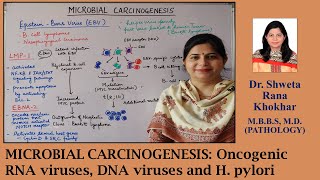 MICROBIAL CARCINOGENESIS Oncogenic RNA viruses DNA viruses and H pylori [upl. by Anilyx]