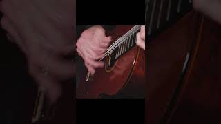 This is from the Canarios video music guitar fingerstyle effects classicalguitar baroque [upl. by Ordnasela]