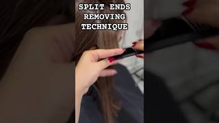 We Tried The Viral Hair Split End Removal Technique shorts [upl. by Jonathan]