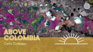 Above Colombia Caño Cristales by Itinerant Lawyer [upl. by Ahsea150]