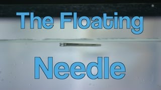 The Floating Needle  A Moment of Science  PBS [upl. by Nivlen]