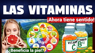 TODO SOBRE LAS VITAMINAS  TIPOS Y FUNCIONES  CARACTERISTICAS [upl. by Noxin833]