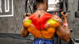 10 CABLE EXERCISES FOR A COBRA BACK [upl. by Oikim329]