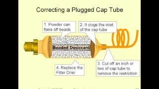 Capillary Tubes in 15 Minutes [upl. by Baudelaire]