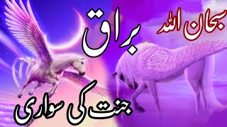 STORY Of BuraqRide The Heaven BuraqShabe Meeraj Buraq Ki Raftar UZMA AMIR 123buraqislam [upl. by Ecnav]